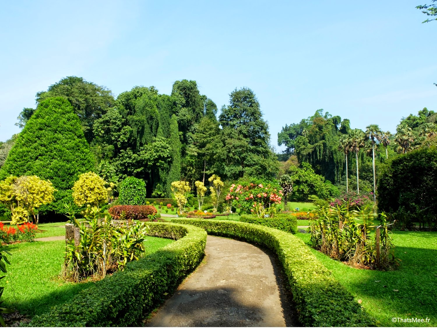 Jardin Botanique britannique Kandy, Sri-Lanka quartier universités