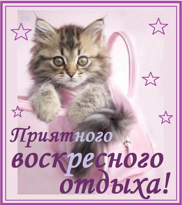 Воскресный приветик картинки прикольные