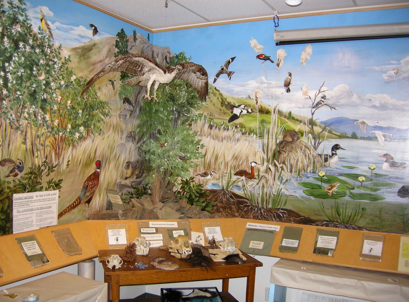 Blog Collective As Rick Mercer would say If you happen to be in Vernon on Sept 13 & 14