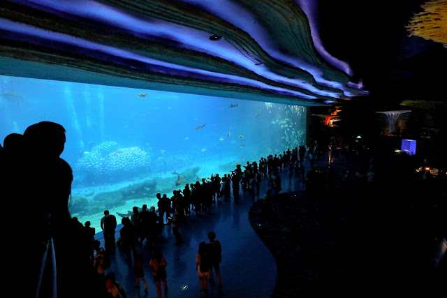 珠海長隆海洋王國．世界最大水族館