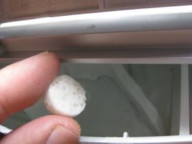 Indoor Gardening - My Aerogarden and Houseplant Blog: Alternative