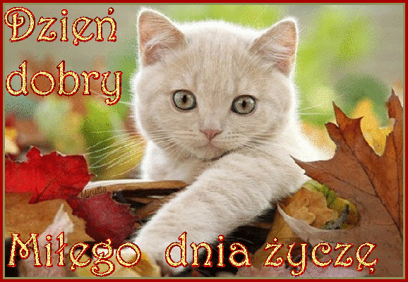 Obrazki Na Dzień Dobry Jesienne animowanegifkijesiennemireczki: Jesienne dzien dobry