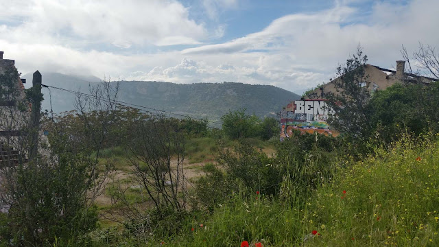 Ruine mit Graffitti Kunstwerken, grüner Wiese, Blumen, Sträucher, Tête de Chien