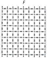 The mechanical behavior of tissue represented by a grid of springs.