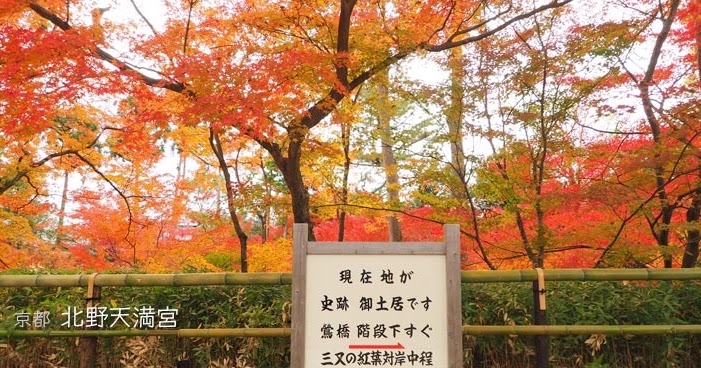 [京都] 北野天満宮の紅葉 ひとり旅が好きな女のブログ。