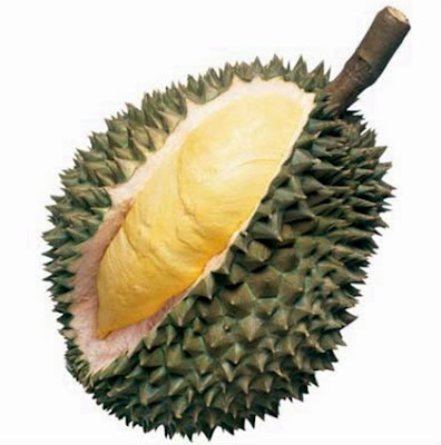 buah durian dan penurunan barat badan