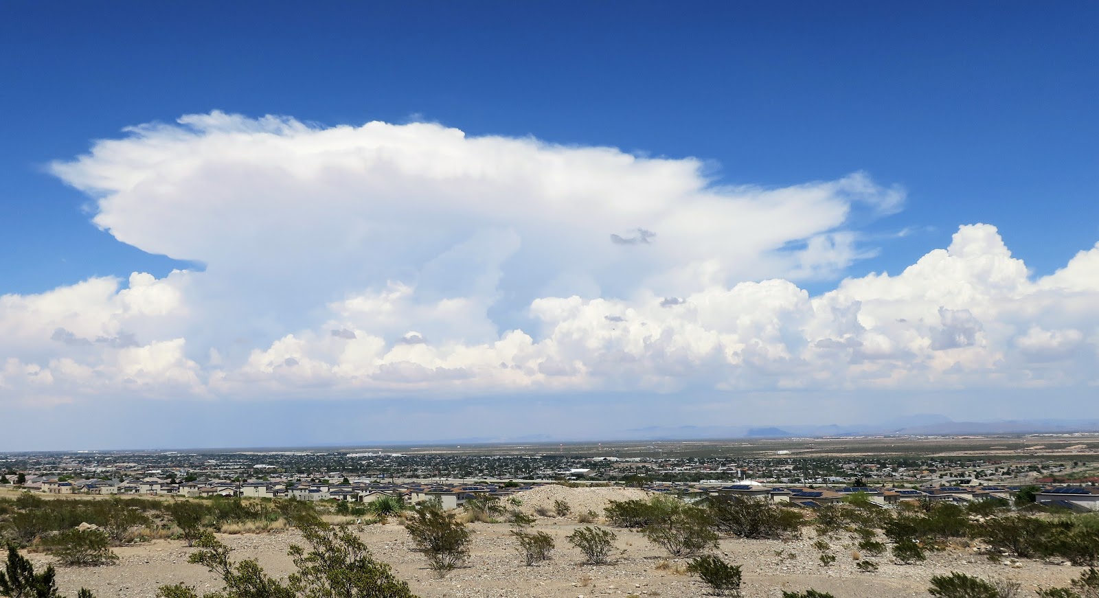 Living Rootless El Paso Alabama to