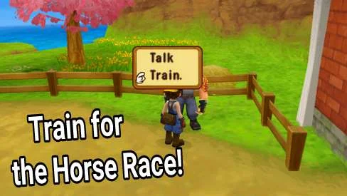 How to Train for the Horse Race Harvest Moon: Hero of Leaf Valley