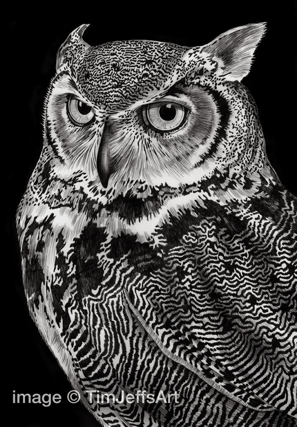 04-Great-Horned-Owl-Tim-Jeffs-All-Creatures-Great-and-Small-Ink-Drawings-www-designstack-co
