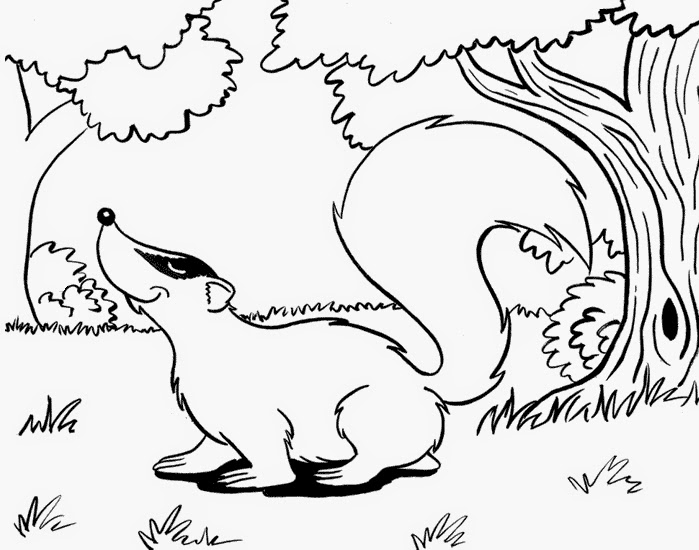 mewarnai gambar binatang hutan