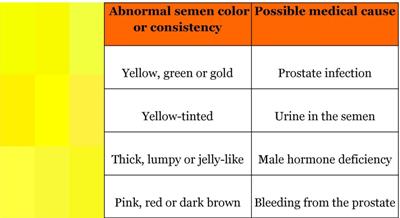 healthy semen color