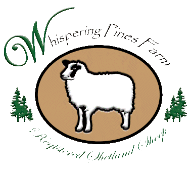 Whispering Pines Farm Registered Shetland Sheep