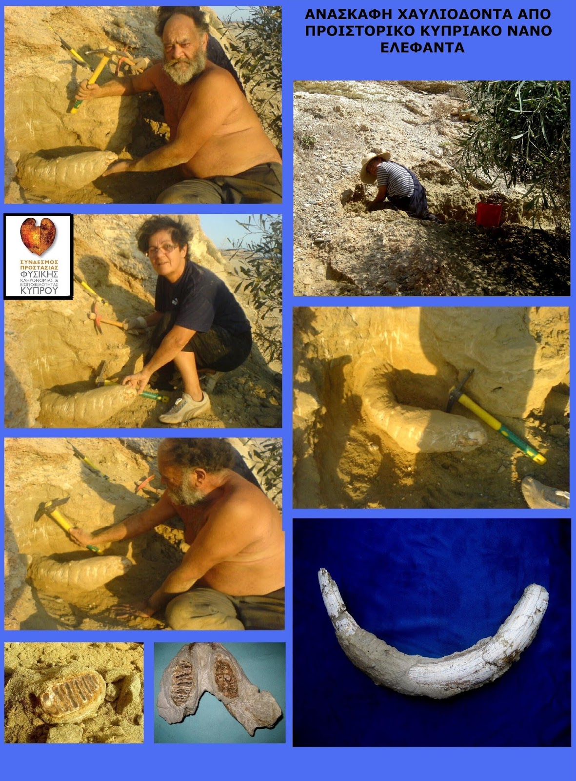 Biodiversity of Cyprus by NGO Protection of the Natural Heritage and