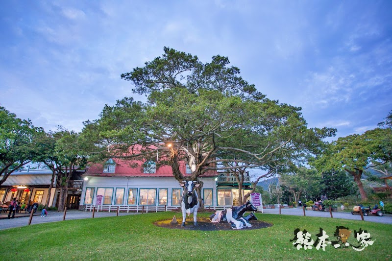 苗栗酪農義式料理|紅穀倉餐廳|飛牛牧場服務中心~牛奶優格入菜好滋味