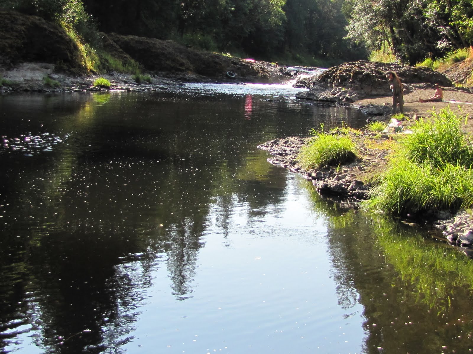 Flitzy Phoebie Rainbow Falls State Park on the Chehalis River