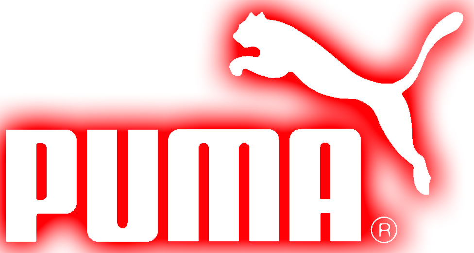 about puma company