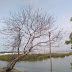 விரைந்து வா.........!