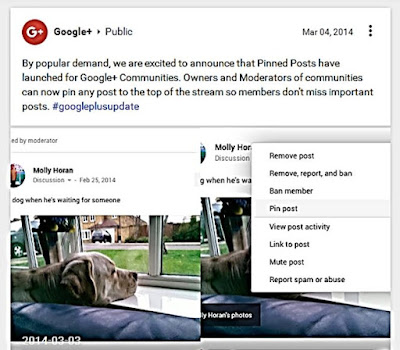 Google+ Announcement: Owners & Moderators can PIN Post to Top of Community Stream