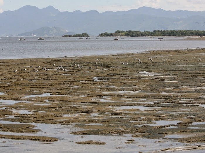 rio de janeiro bombando! 22 PRAIA DE SEPETIBA