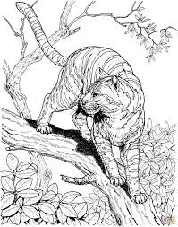Tiger At Three Coloring Pages For Print Tiger At Three Coloring Pages For Print