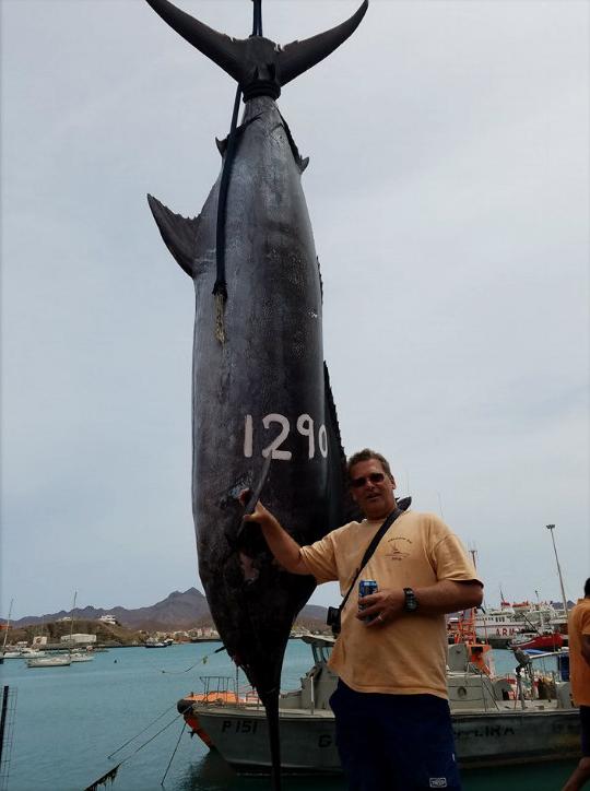 Big Fishes of the World: MARLIN BLUE ATLANTIC page 2