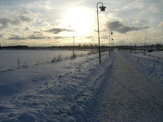 Frisk%2Bluft%2Boch%2Bfruktfrossa%2B%25283%2529 - Frisk luft och fruktfrossa