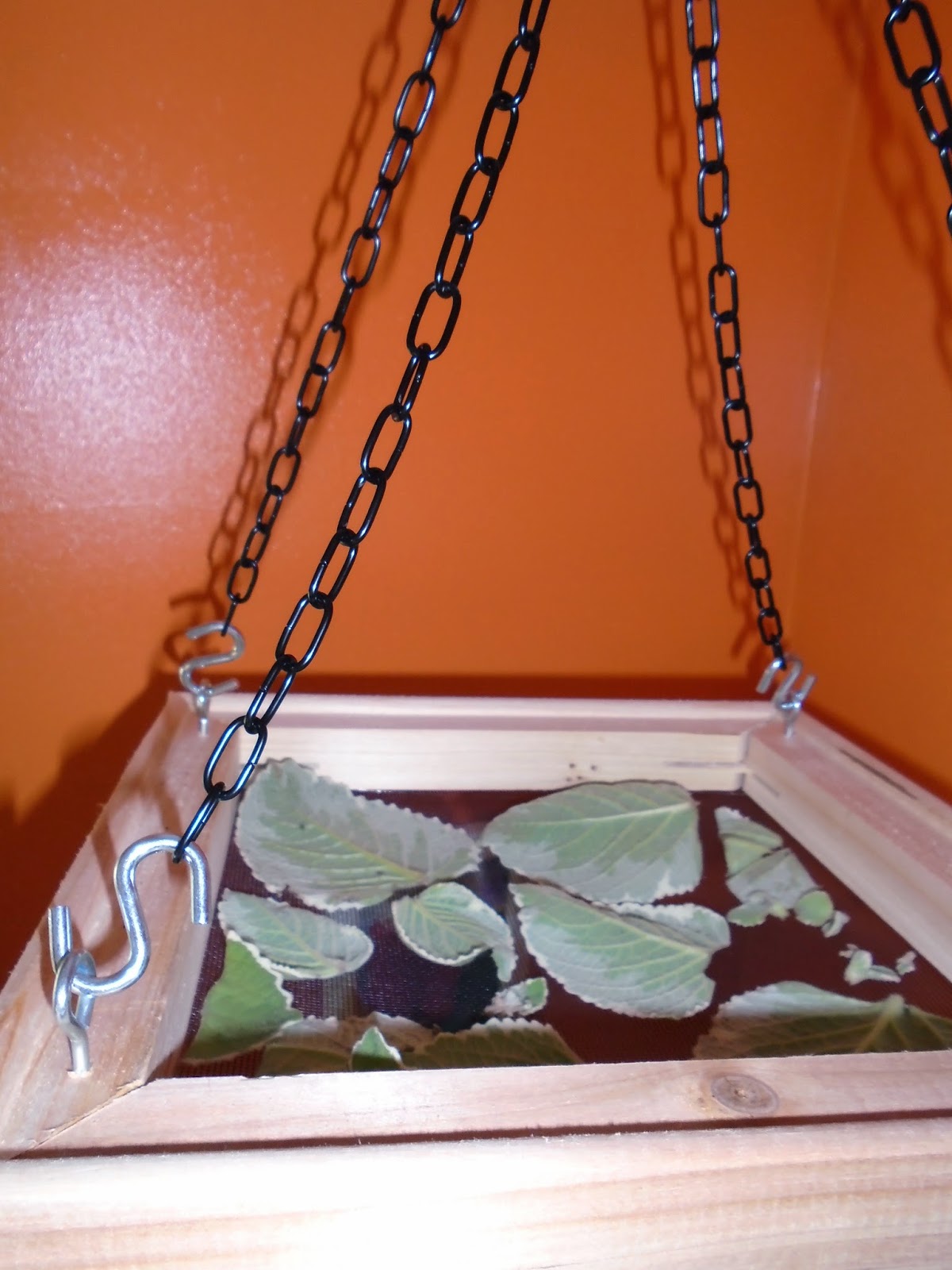 Barefoot Kentucky Mama DIY Seed Drying Rack