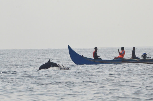 Teluk Kiluan Lampung