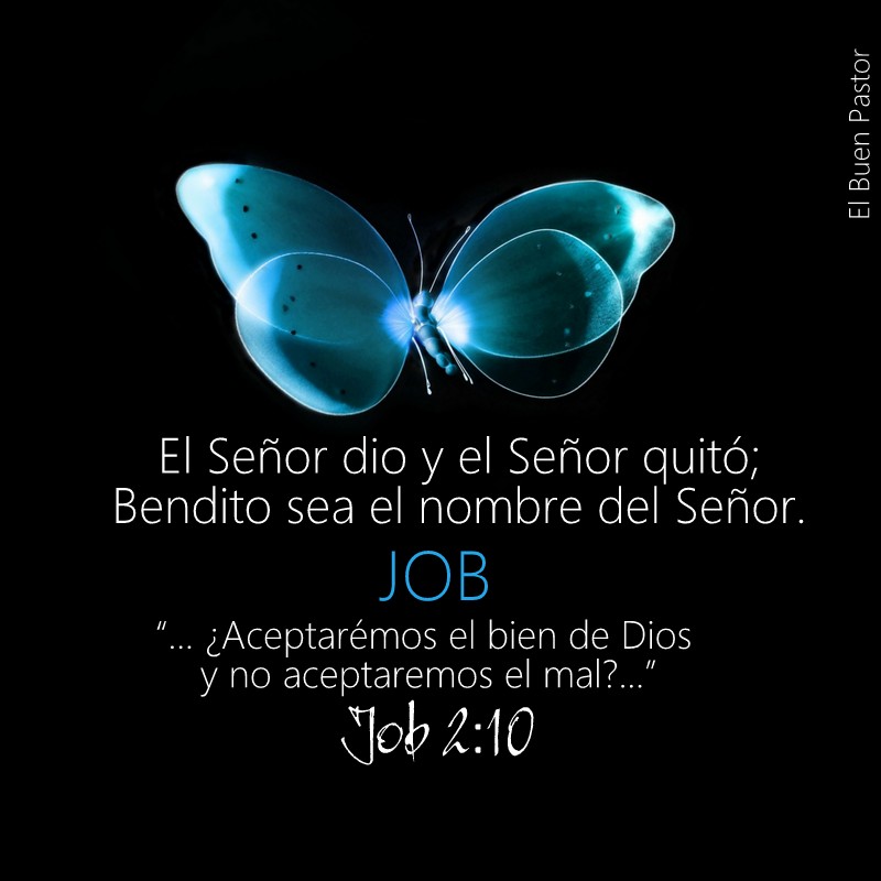 Job 2:10 YO SOY EL BUEN PASTOR: Job 2:10
