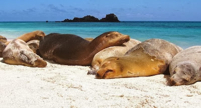 Fotos turísticas de las Islas Galápagos
