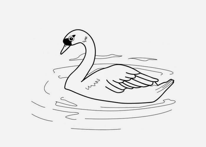 Swan coloring page | Free Coloring Pages and Coloring Books for Kids