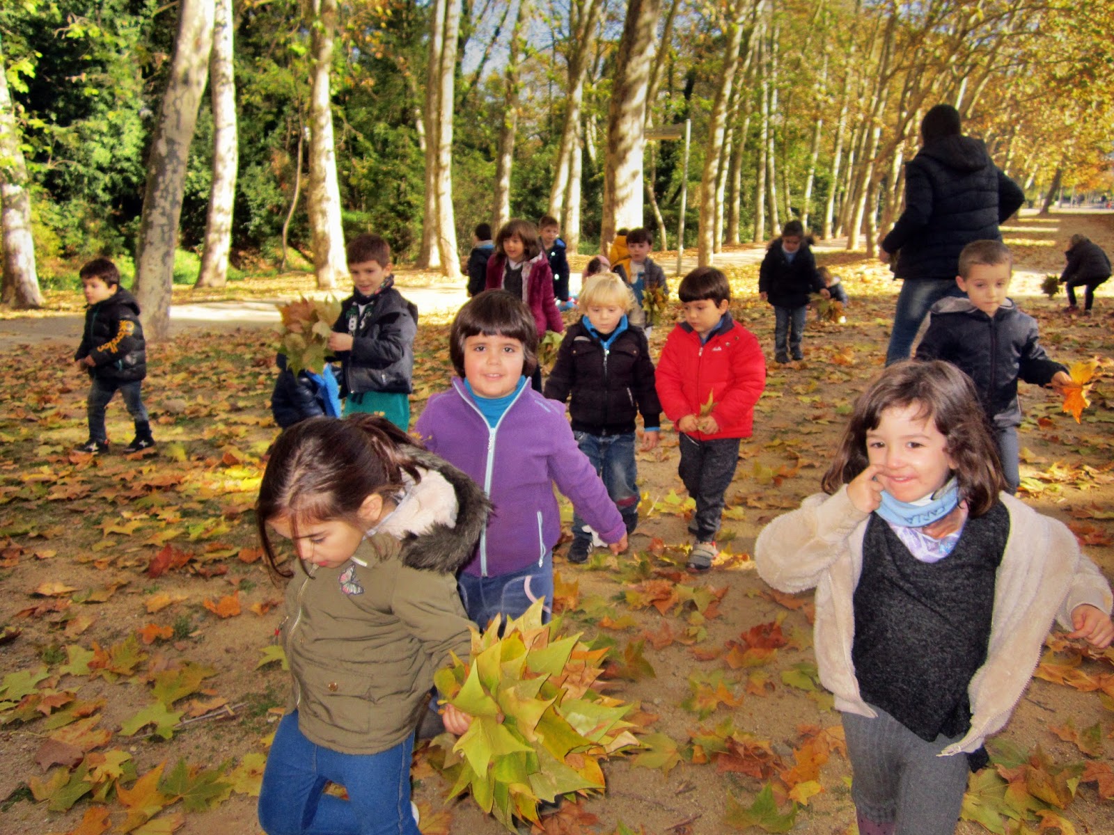 2n Infantil - Escola del Sol: de novembre 2017