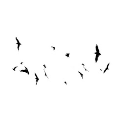 photoshop birds bird elements tree sky cut dus animal cutout cutouts texture elevation editing polyvore liked rendering plant psd silhouette