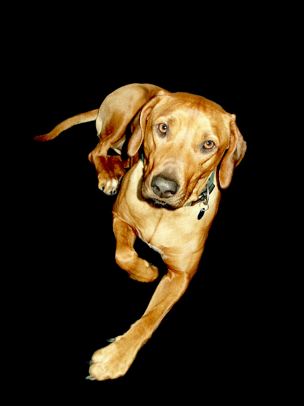 Juist Jut Zu Jeder Jahreszeit Mein Place To Be Der Juister Hof