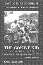 The Gokwe Kid -  Part 1