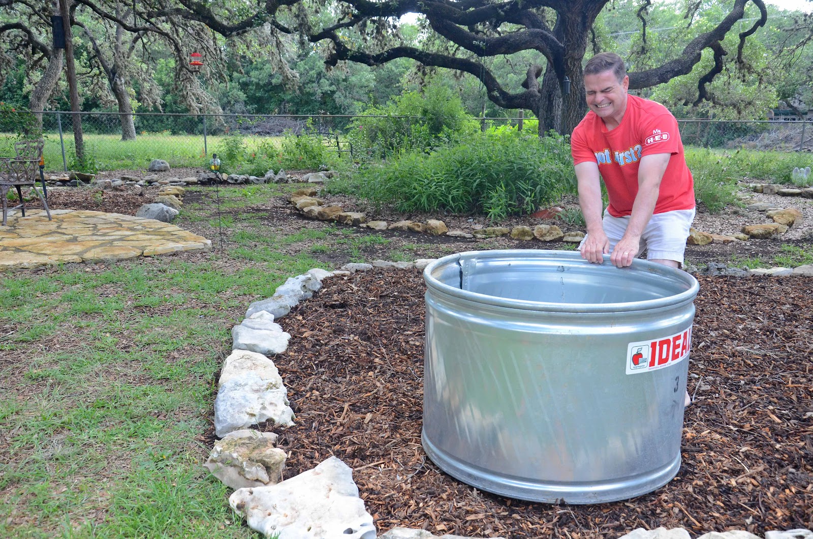 Window on a Texas Wildscape How we made our stock tank