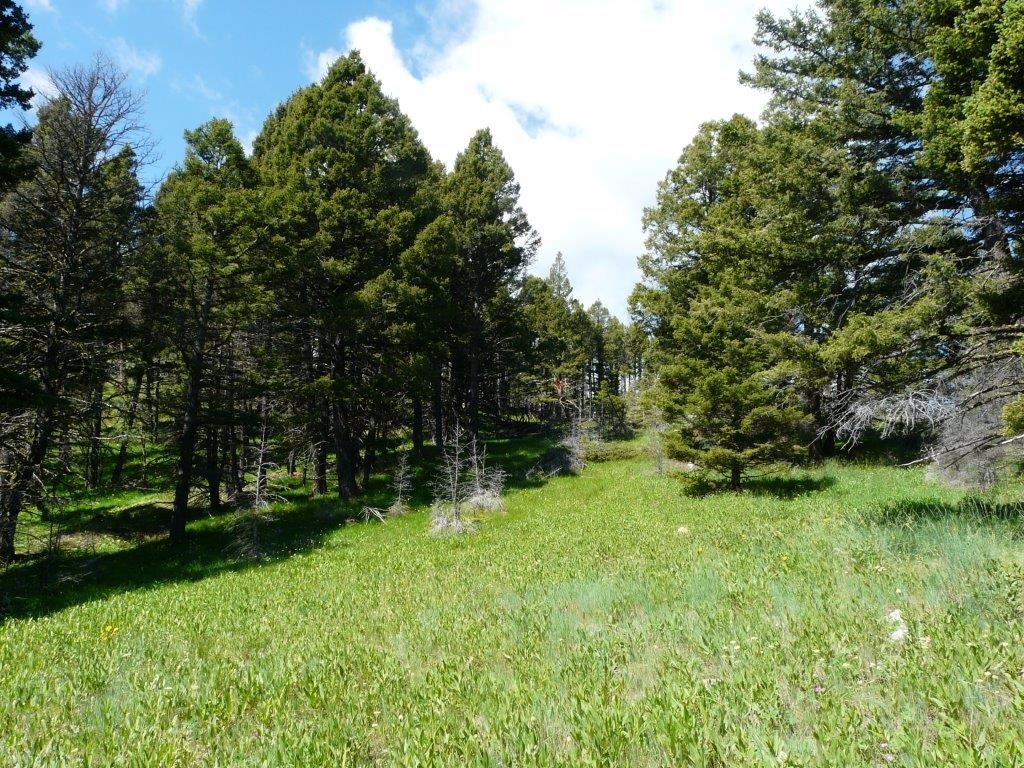 Northwest National Real Estate A Collection Of Real Estate Brokerages