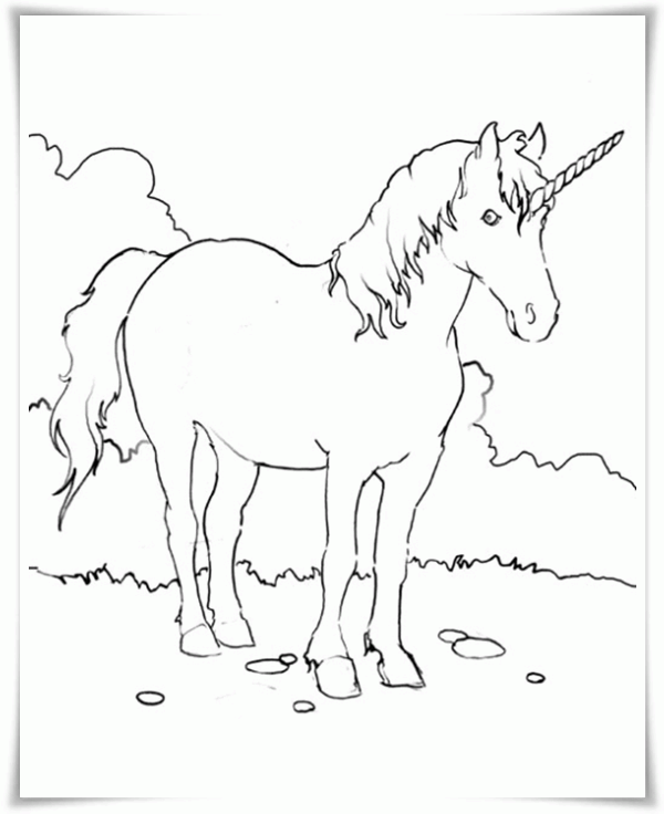 Ausmalbilder Zum Ausdrucken Ausmalbilder Einhorn