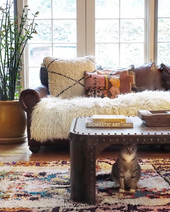 Amazing cats and their boho-tastic homes - cat 6 www.BoHoHome.com @bohosusan