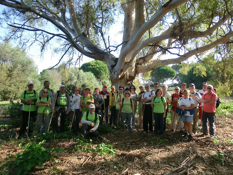 AL-SENDERO: 28/10/12 PINAR DE LAS CANTERAS - PARQUE DE LAS CAÑADAS