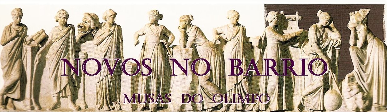 Novos no Barrio