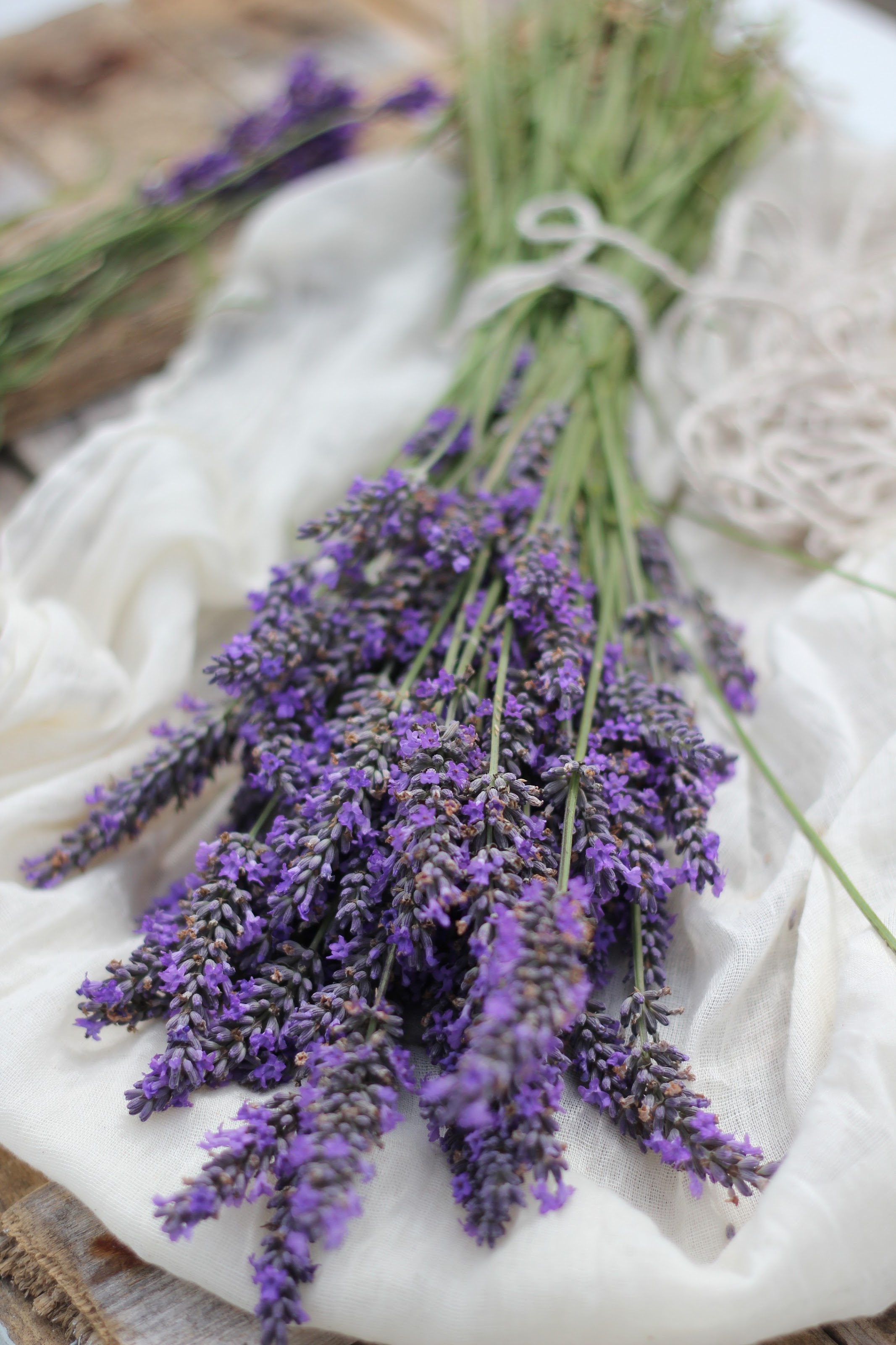 Apron Strings Shortlisted for the Gourmand World Cookbook Awards