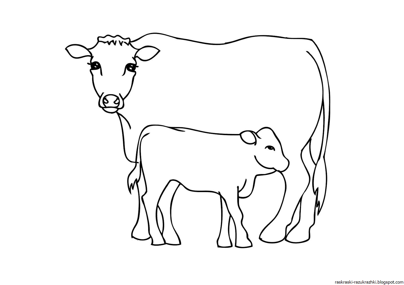 Раскрашивать коров. Раскраска корова. Корова раскраска для детей. Раскраска корова с теленком для детей. Теленок раскраска для детей.