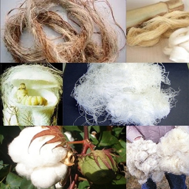 Serat alam tumbuhan kapas diolah menjadi tekstil disebut