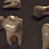 (ΚΟΣΜΟΣ)Ανακάλυψαν δόντι ενήλικα που ζούσε πριν από 560.000 χρόνια!