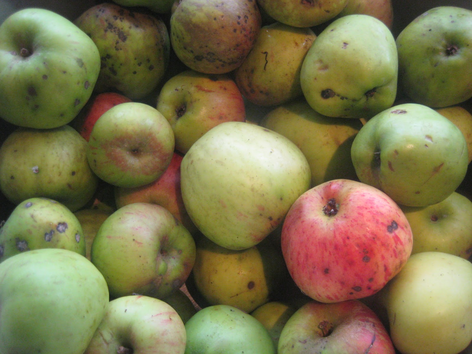 Flour Water Dirt & Rain Homemade Sour Apple Vodka
