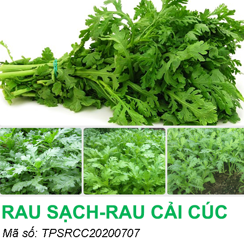CẢI CÚC