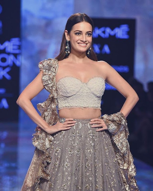Dia Mirza Photos Dia Mirza Photos