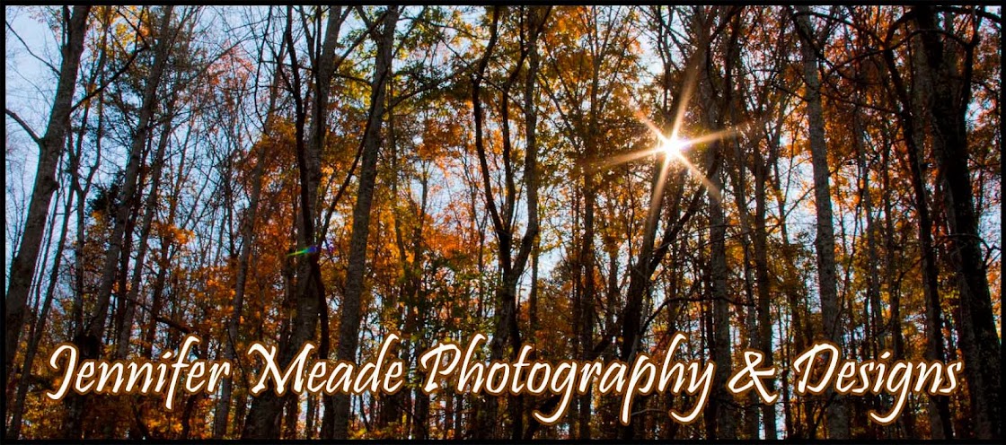 Jennifer Meade Photography & Designs