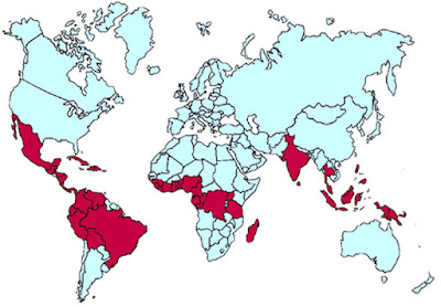Mapa producción mundial cacao - Cacao grupo 3